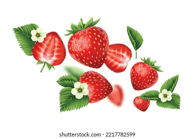 Fliegende reifen Erdbeeren blühten Blumen und hinterlassen eine realistische abstrakte Zusammensetzung auf weißem Hintergrund, Vektorgrafik