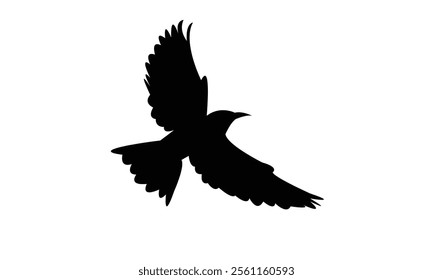 Flying Roller Bird Silhouette Design  And Vector Illustration. 