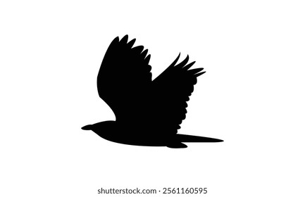 Flying Roller Bird Silhouette Design  And Vector Illustration. 