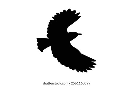 Flying Roller Bird Silhouette Design  And Vector Illustration. 