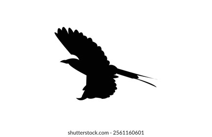 Flying Roller Bird Silhouette Design  And Vector Illustration. 