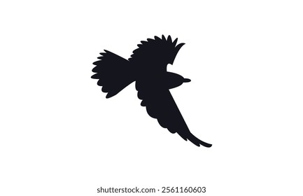 Flying Roller Bird Silhouette Design  And Vector Illustration. 