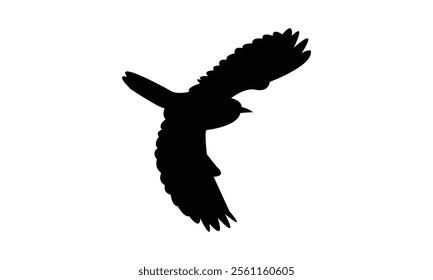 Flying Roller Bird Silhouette Design  And Vector Illustration. 