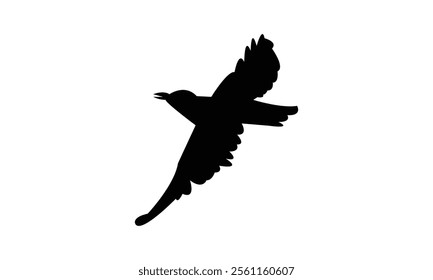 Flying Roller Bird Silhouette Design  And Vector Illustration. 