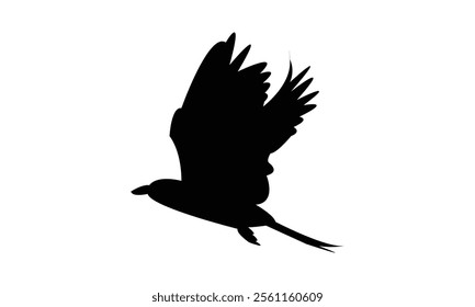 Flying Roller Bird Silhouette Design  And Vector Illustration. 