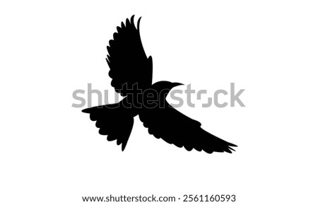 Flying Roller Bird Silhouette Design  And Vector Illustration. 