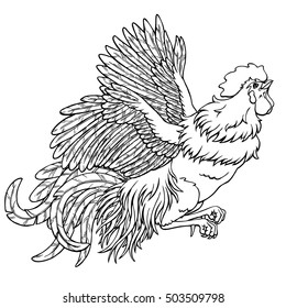 Flying rooster black contour line on white background. Fiery cock, chicken a symbol of the Chinese new year 2017. Vector illustration. Vintage.