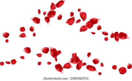 Flying rose petal isolated for lovely banner, Valentine's day, greeting card. Red floral fresh wedding