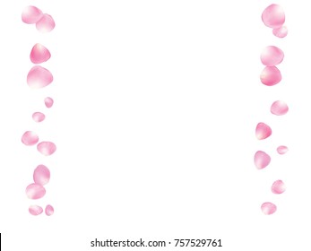 Flying Rose Petals Confetti. Vector Realistic Blossom Illustration. Love, Wedding, Valentine Decoration, Japanese Sakura Ornament. Falling Down Rose Petals Confetti, Magic Showering Floral Background.