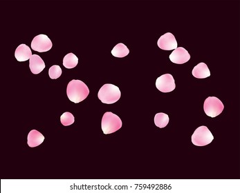 Flying Rose Petals Confetti. Vector Realistic Blossom Illustration. Love, Wedding, Valentine Decoration, Japanese Sakura Ornament. Falling Down Rose Petals Confetti, Magic Showering Floral Background.