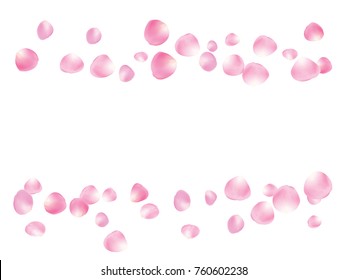 Flying Rose Petals Confetti. Vector Realistic Blossom Illustration. Love, Wedding, Valentine Decoration, Japanese Sakura Ornament. Falling Down Rose Petals Confetti, Magic Showering Floral Background.