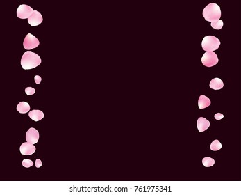 Flying Rose Petals Confetti. Vector Realistic Blossom Illustration. Love, Wedding, Valentine Decoration, Japanese Sakura Ornament. Falling Down Rose Petals Confetti, Magic Showering Floral Background.