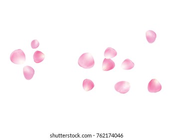 Flying Rose Petals Confetti. Vector Realistic Blossom Illustration. Love, Wedding, Valentine Decoration, Japanese Sakura Ornament. Falling Down Rose Petals Confetti, Magic Showering Floral Background.