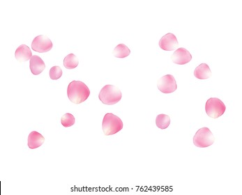 Flying Rose Petals Confetti. Vector Realistic Blossom Illustration. Love, Wedding, Valentine Decoration, Japanese Sakura Ornament. Falling Down Rose Petals Confetti, Magic Showering Floral Background.