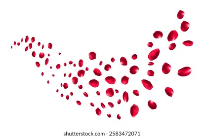 Flying rose petals or sakura flower blossom vector background, spring floral 