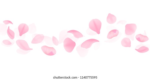 Flying Sakura flowers petals border isolated on white background. Vector illustration