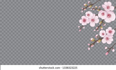 Flying sakura flowers. Pink on transparent fond. Handmade background in oriental style. Theme design textiles, wallpaper, packaging, printing.