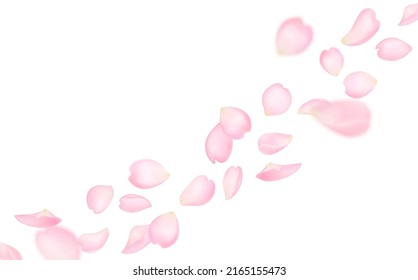 Flying sakura petals background of cherry blossom pink petals, vector flowers. Sakura petals falling, realistic blooming floral blossoms in wind, Valentine love, spring and wedding background