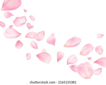 Flying sakura petals background, rose flower or cherry blossom pink petals realistic vector. Pink sakura petals falling in wind, Valentine love, spring and wedding floral cherry blossom background