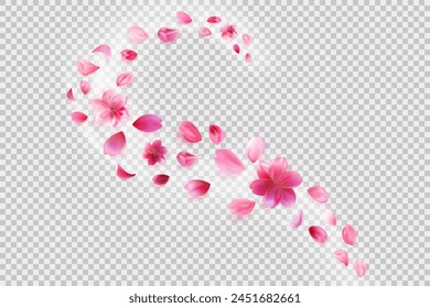 flying sakura petals. Flower decoration on transparent background.