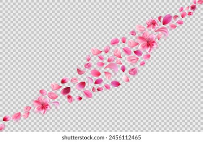 flying sakura petals. Flower decoration on transparent background.