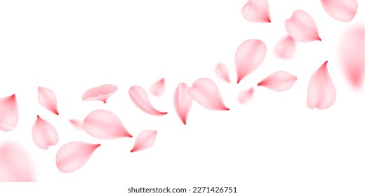 Flying sakura petals, vector pink flowers of japan cherry blossom falling down. Romantic spring floral background with sakura bloom, rose or peach flower petals flying, wedding or Valentine Day themes