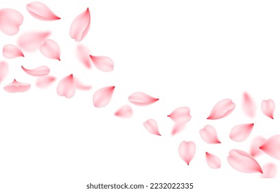 Flying sakura vector background. Pink flower petals of cherry blossom falling down or flying on the wind. Romantic floral background of realistic japanese sakura tree spring blossom flying through air