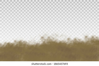 Flying sand. Dust cloud. Brown dusty cloud or dry sand flying with a gust of wind, sandstorm. Brown smoke realistic texture. 
