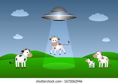 Flying saucer abducts cow. Vector illustration.