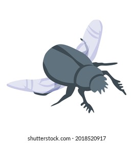 Flying scarab icon. Isometric of flying scarab vector icon for web design isolated on white background