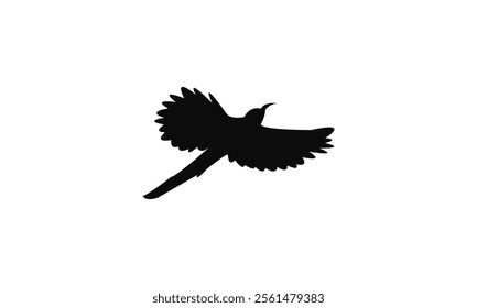 Flying Scimitarbill Bird Silhouette Design  And Vector Illustration. 