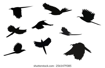 Flying Scimitarbill Bird Silhouette Design  And Vector Illustration. 