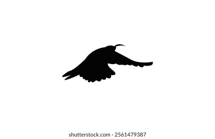 Flying Scimitarbill Bird Silhouette Design  And Vector Illustration. 