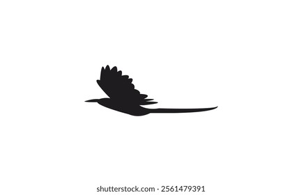 Flying Scimitarbill Bird Silhouette Design  And Vector Illustration. 