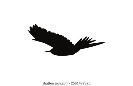 Flying Scimitarbill Bird Silhouette Design  And Vector Illustration. 