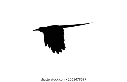 Flying Scimitarbill Bird Silhouette Design  And Vector Illustration. 