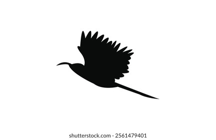 Flying Scimitarbill Bird Silhouette Design  And Vector Illustration. 