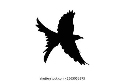 Flying Scissor Tailed Flycatcher  Bird Silhouette Design  And Vector Illustration. 