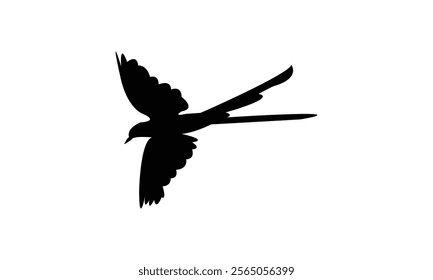 Flying Scissor Tailed Flycatcher  Bird Silhouette Design  And Vector Illustration. 