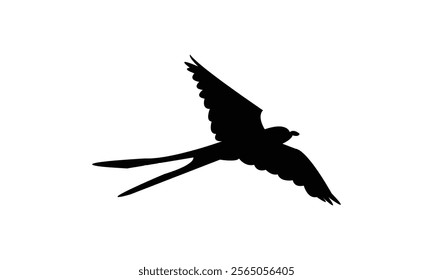 Flying Scissor Tailed Flycatcher  Bird Silhouette Design  And Vector Illustration. 