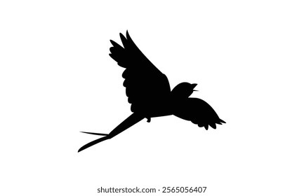 Flying Scissor Tailed Flycatcher  Bird Silhouette Design  And Vector Illustration. 