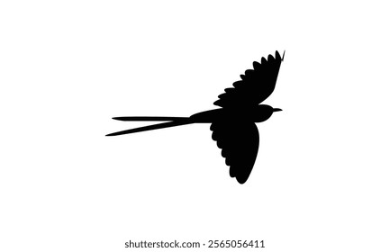 Flying Scissor Tailed Flycatcher  Bird Silhouette Design  And Vector Illustration. 