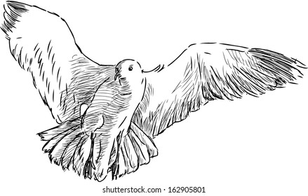 flying sea gulls