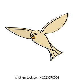 flying sea white bird seagull animal