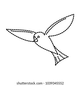 flying sea white bird seagull animal