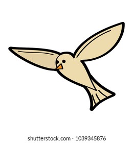 flying sea white bird seagull animal