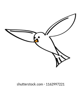 flying sea white bird seagull animal