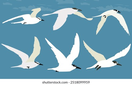 Ilustraciones vectoriales de aves marinas voladoras en varias poses, Flying Bird Silhouette Clip Art, gran conjunto de siluetas de Vector de aves voladoras