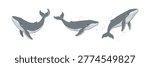 Flying seabirds silhouettes in dark grey minimal coastal illustration