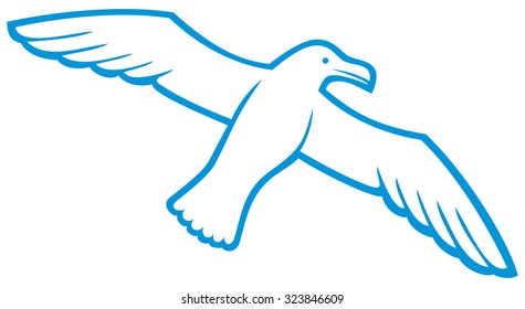 flying seagull